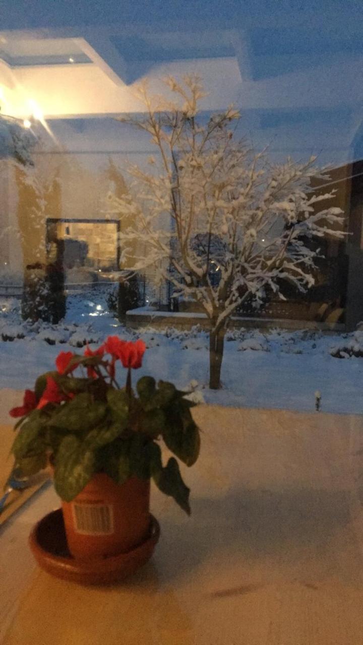 Agriturismo Da Mamma Alba  Buitenkant foto