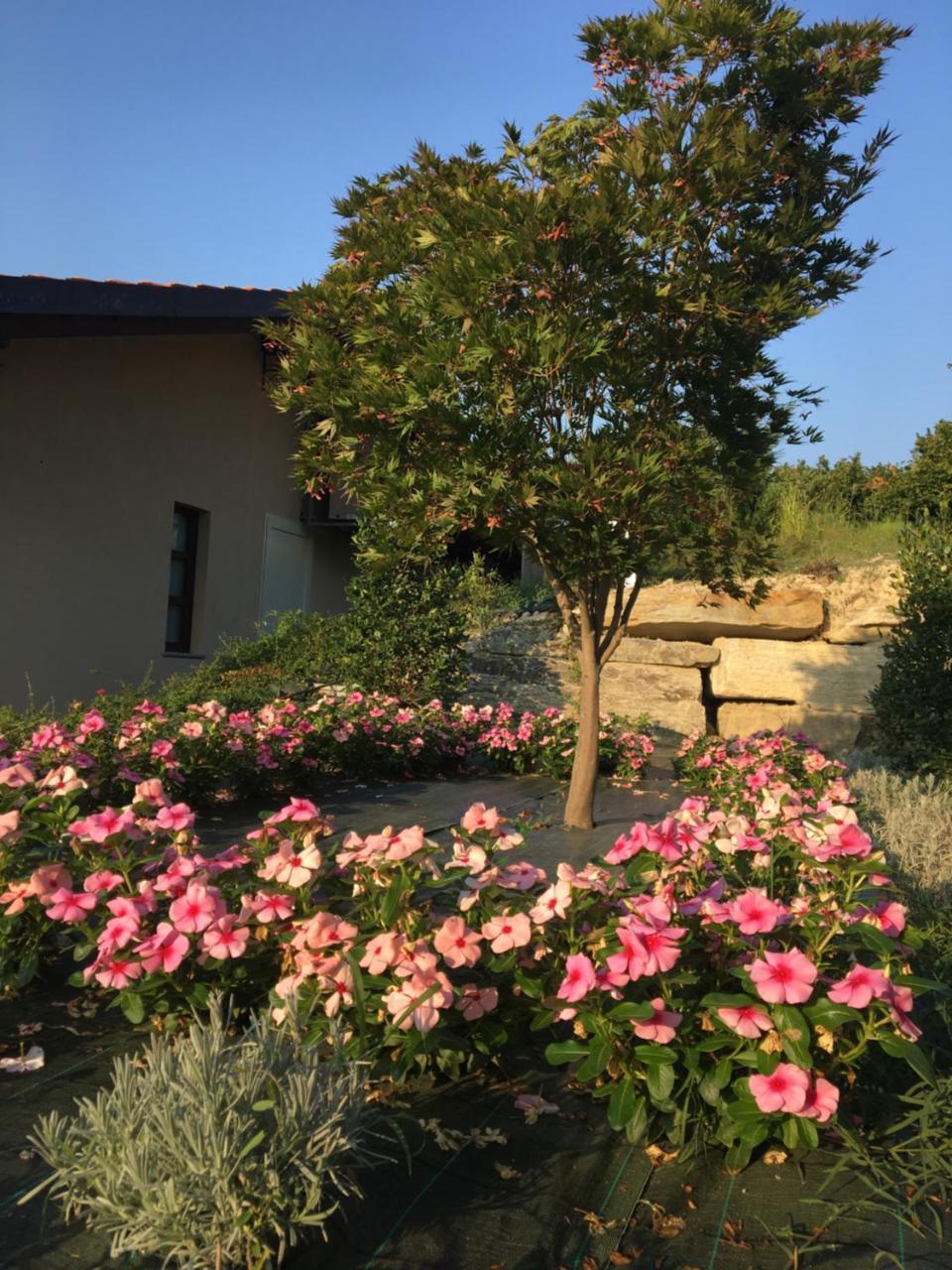 Agriturismo Da Mamma Alba  Buitenkant foto
