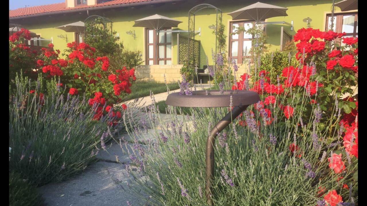 Agriturismo Da Mamma Alba  Buitenkant foto